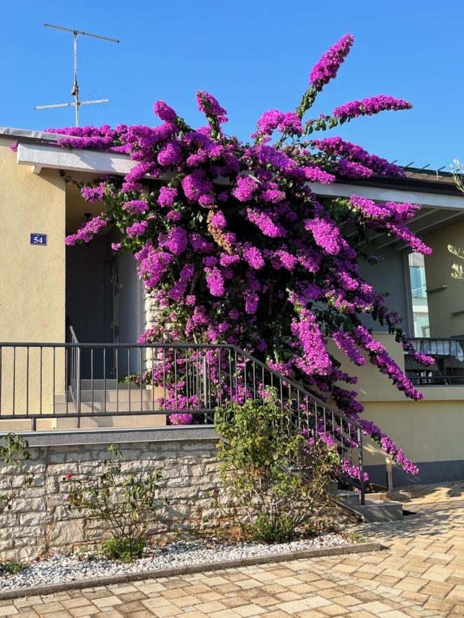 App Forza Apartment Umag Exterior photo